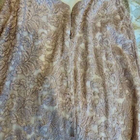 Cachet Rose gold/Blush pink Elegant Lace Evening Gown size 6 - Picture 10 of 11